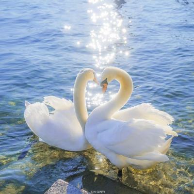 英亚体育ag网站截图2